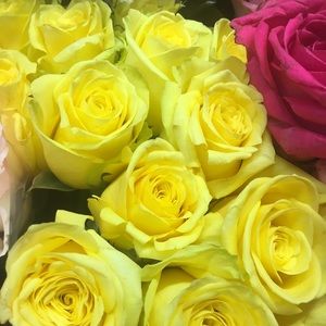 Meet your Posher, Allyson